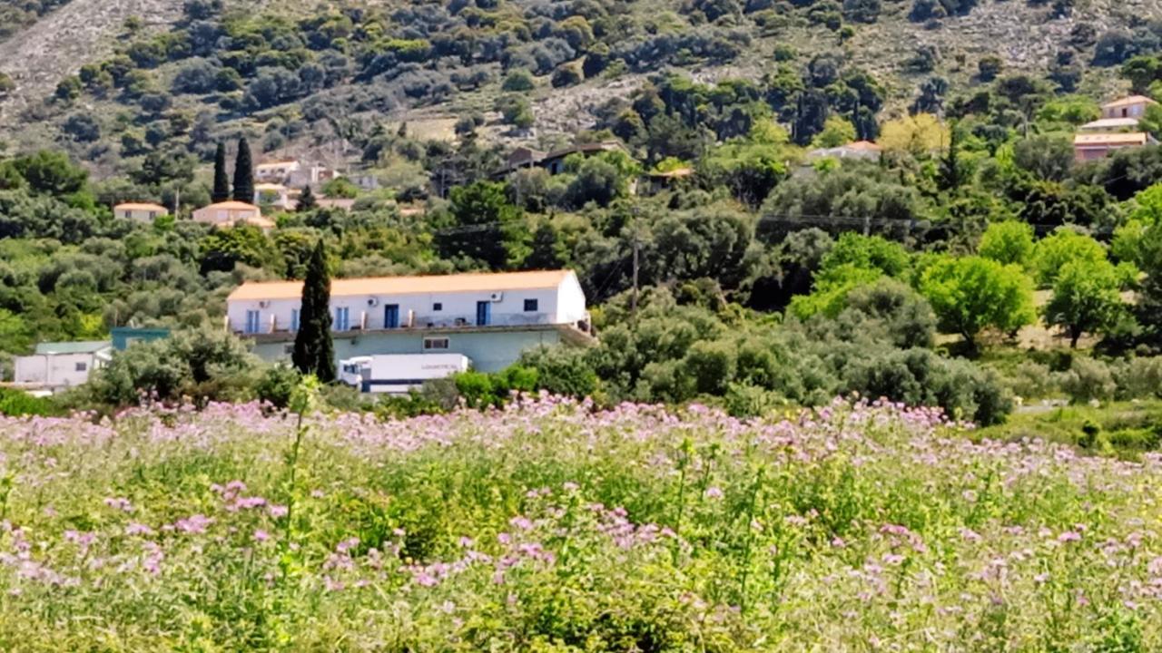 Apartamento Aelia Sea Argostoli  Exterior foto